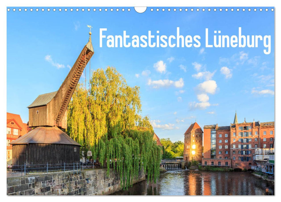 Fantastisches Lüneburg (CALVENDO Wandkalender 2025)