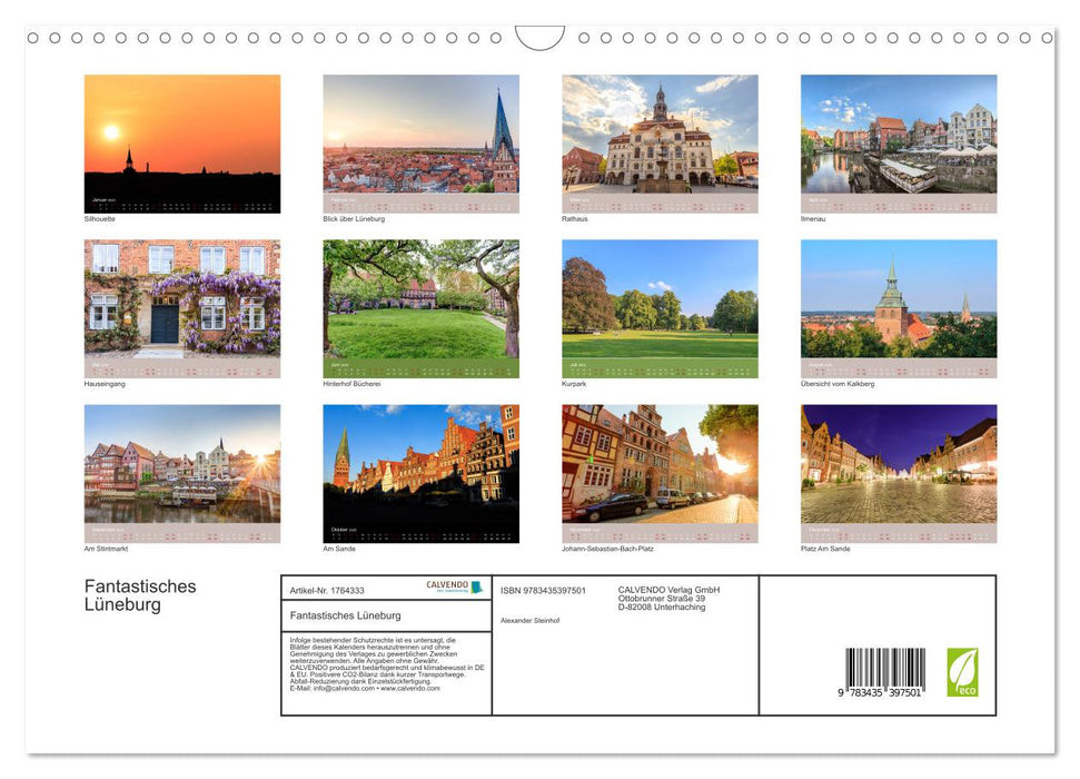 Fantastisches Lüneburg (CALVENDO Wandkalender 2025)