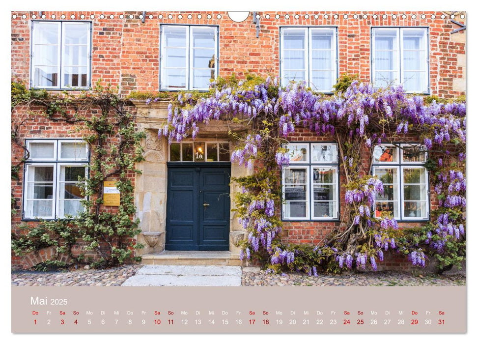 Fantastisches Lüneburg (CALVENDO Wandkalender 2025)