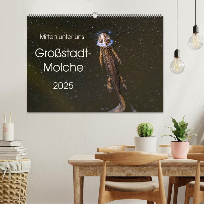 Mitten unter uns - Großstadt-Molche (CALVENDO Wandkalender 2025)