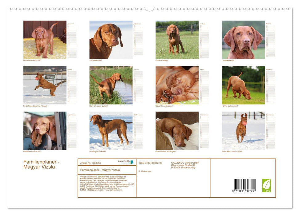 Familienplaner - Magyar Vizsla (CALVENDO Premium Wandkalender 2025)