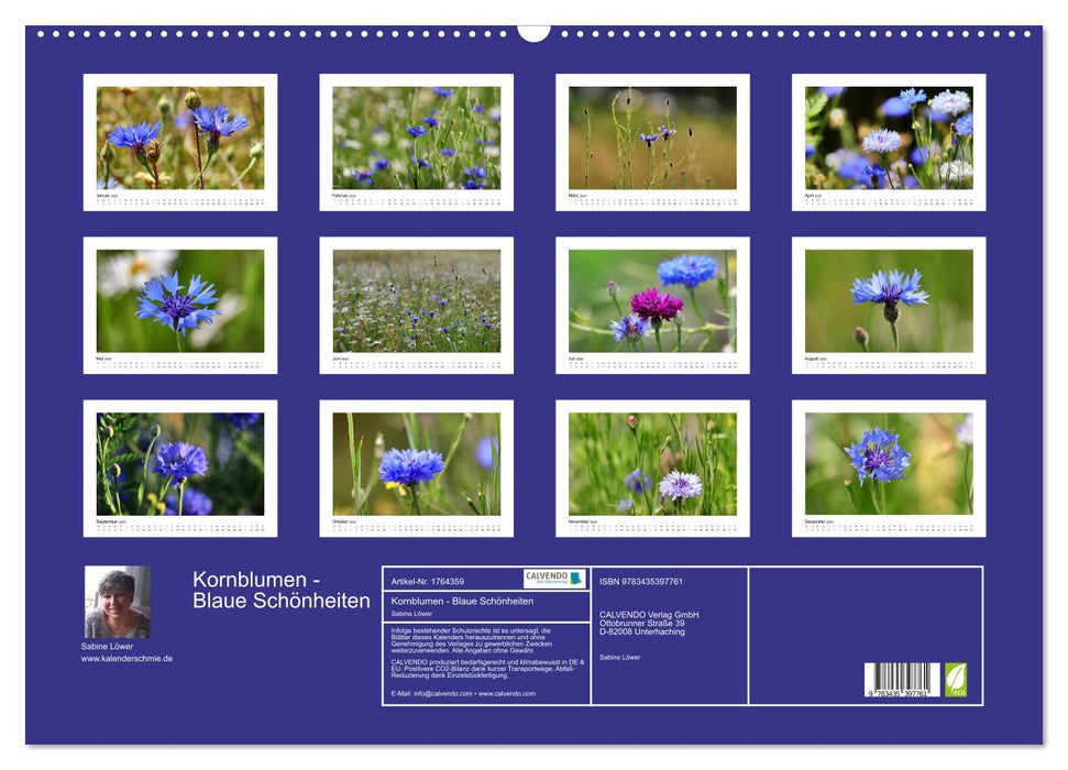 Kornblumen - Blaue Schönheiten (CALVENDO Wandkalender 2025)