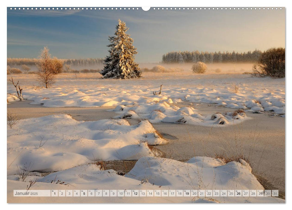 Moore und Bäche in Eifel und Ardennen (CALVENDO Premium Wandkalender 2025)