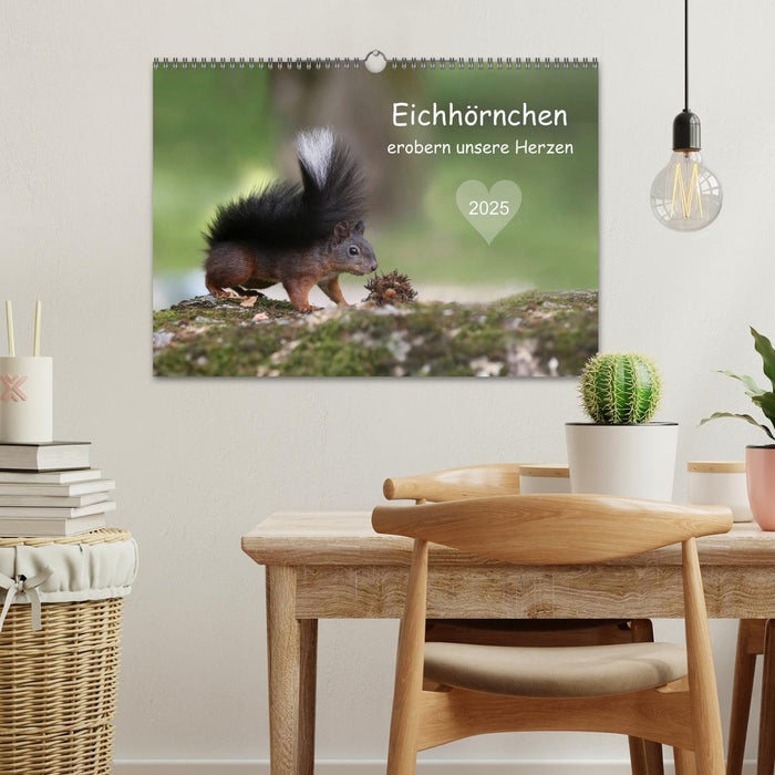 Eichhörnchen erobern unsere Herzen (CALVENDO Wandkalender 2025)