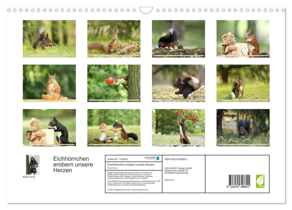 Eichhörnchen erobern unsere Herzen (CALVENDO Wandkalender 2025)