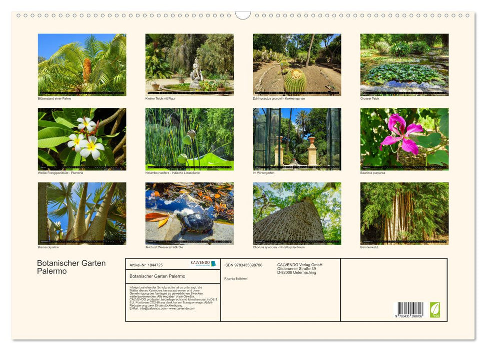 Botanischer Garten Palermo (CALVENDO Wandkalender 2025)