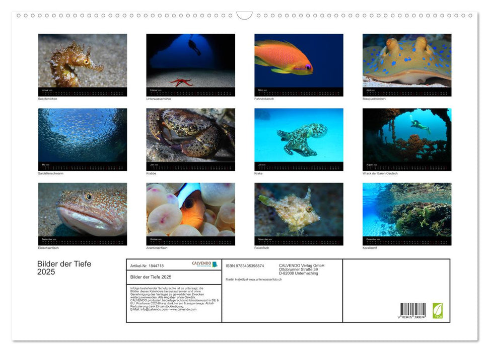 Bilder der Tiefe 2025 (CALVENDO Wandkalender 2025)