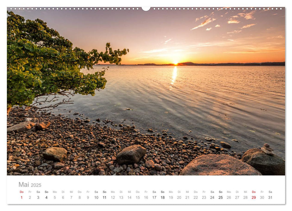 Rügen ein Sommertraum (CALVENDO Premium Wandkalender 2025)