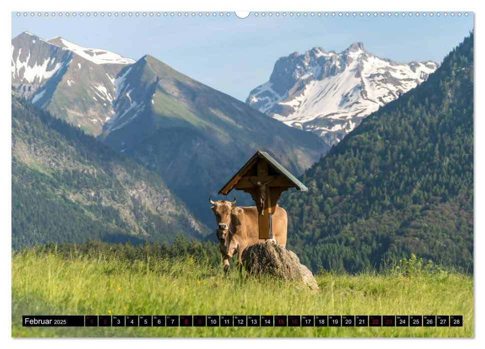 Oberstdorf und Umgebung (CALVENDO Premium Wandkalender 2025)