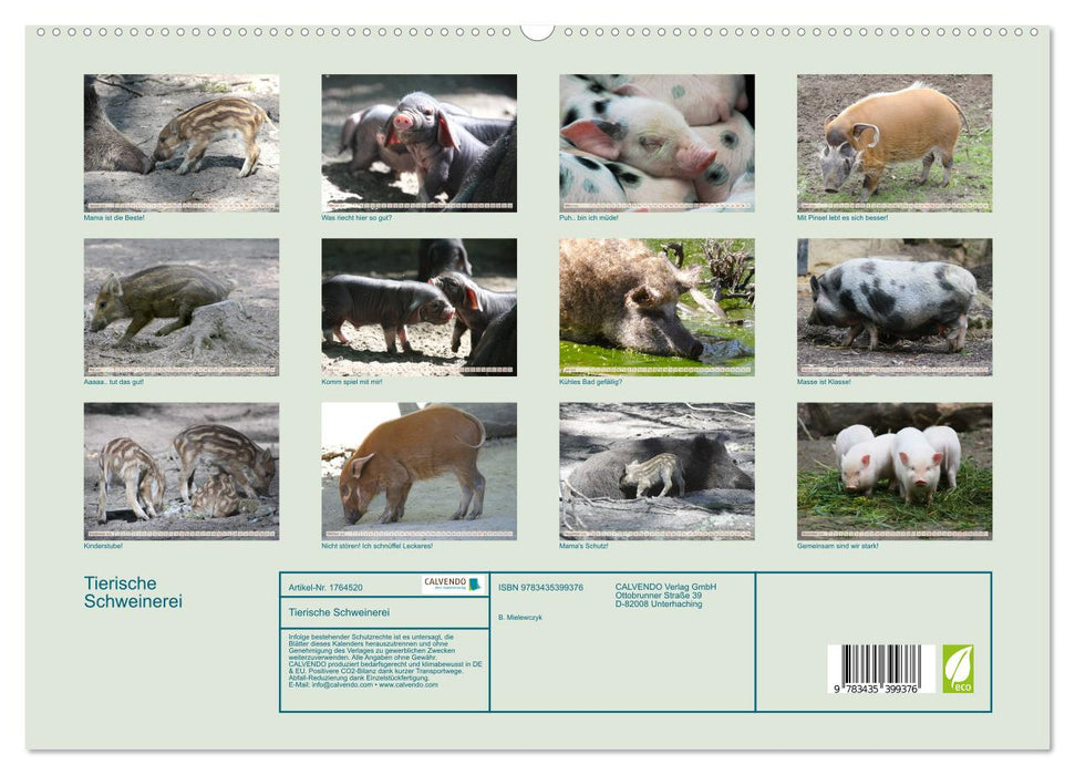 Tierische Schweinerei (CALVENDO Premium Wandkalender 2025)