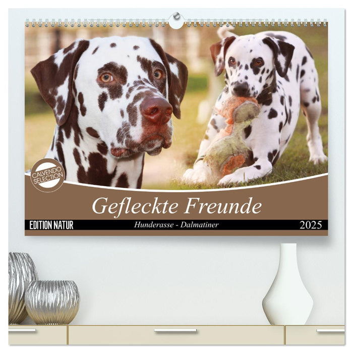 Gefleckte Freunde - Hunderasse Dalmatiner (CALVENDO Premium Wandkalender 2025)