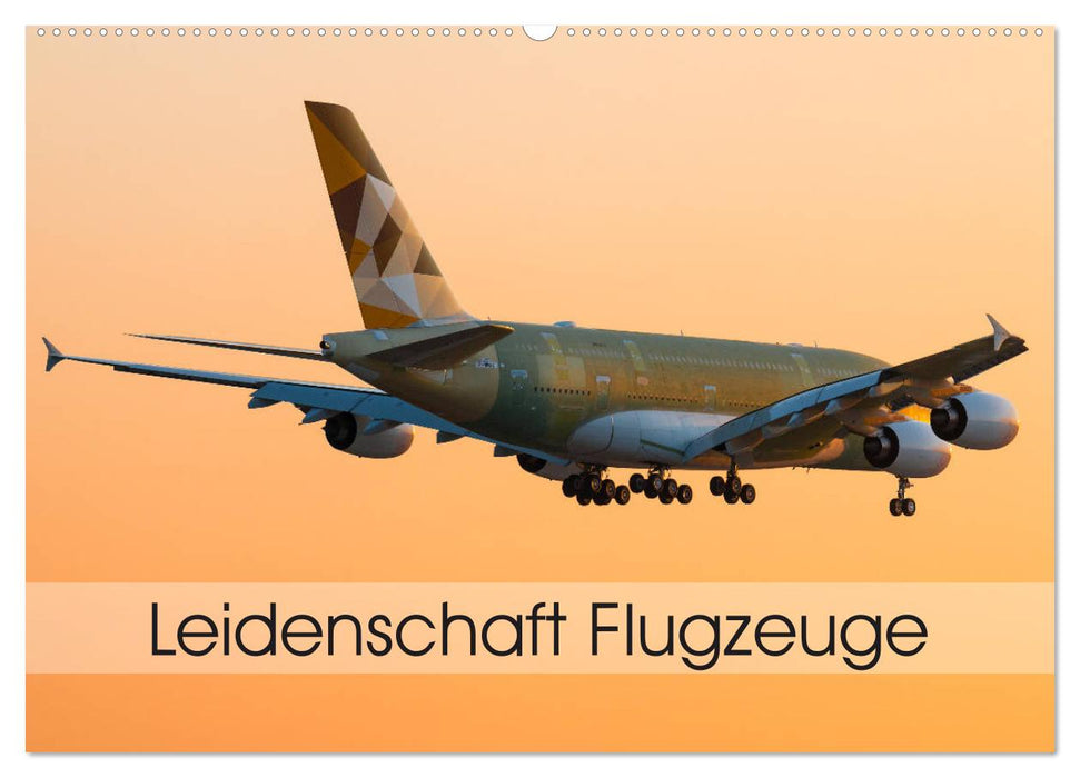 Leidenschaft Flugzeuge (CALVENDO Wandkalender 2025)