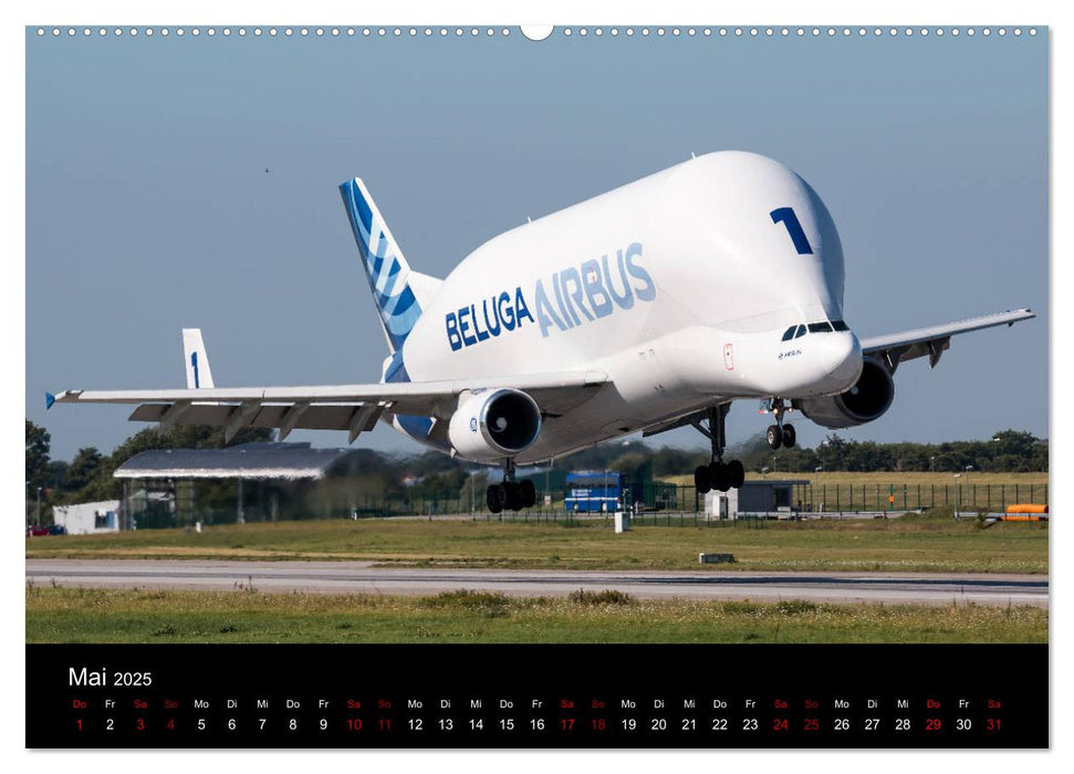 Leidenschaft Flugzeuge (CALVENDO Wandkalender 2025)