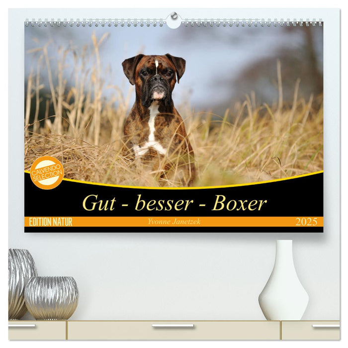 Gut - besser - Boxer (CALVENDO Premium Wandkalender 2025)