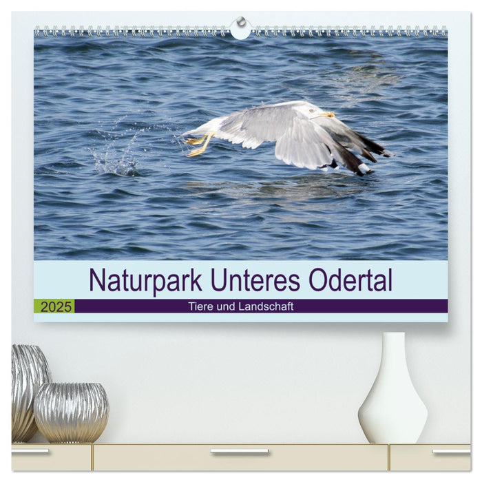 Naturpark Unteres Odertal (CALVENDO Premium Wandkalender 2025)