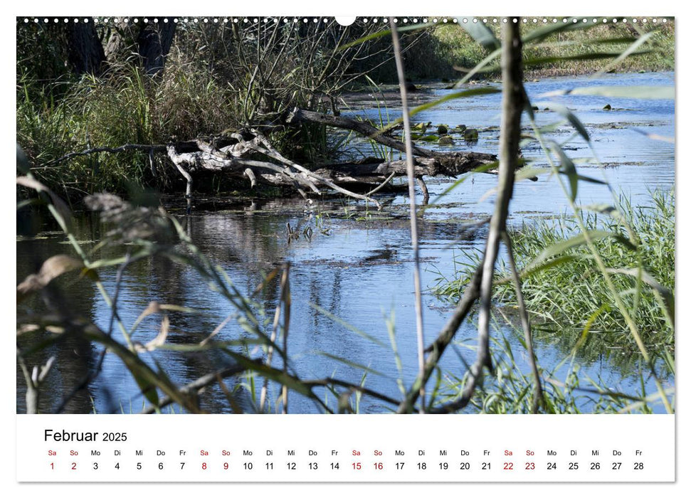 Naturpark Unteres Odertal (CALVENDO Premium Wandkalender 2025)