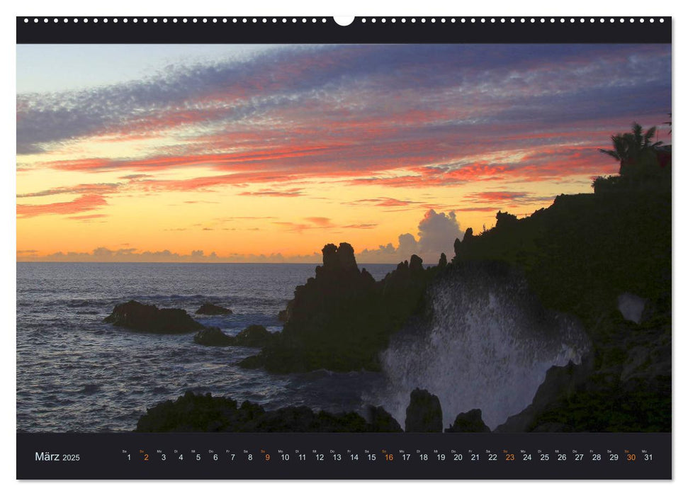 wildes La Palma (CALVENDO Wandkalender 2025)