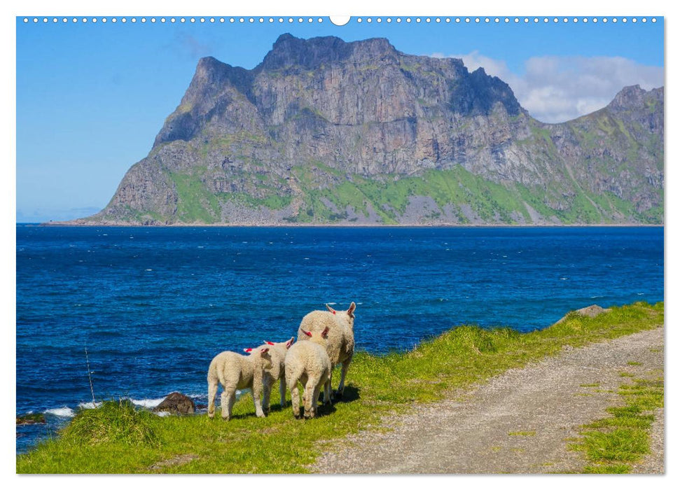 Die Lofoten - Eine Bilder-Reise (CALVENDO Premium Wandkalender 2025)