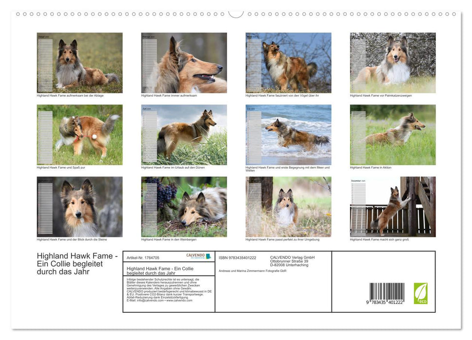 Highland Hawk Fame - Ein Collie begleitet durch das Jahr (CALVENDO Premium Wandkalender 2025)