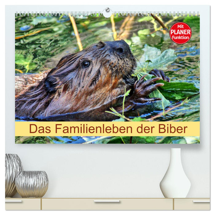 Das Familienleben der Biber (CALVENDO Premium Wandkalender 2025)