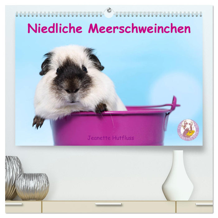 Niedliche Meerschweinchen (CALVENDO Premium Wandkalender 2025)