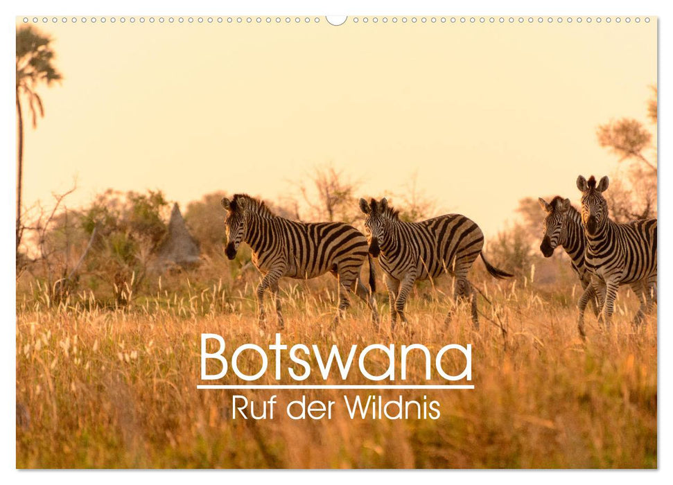 Botswana - Ruf der Wildnis (CALVENDO Wandkalender 2025)