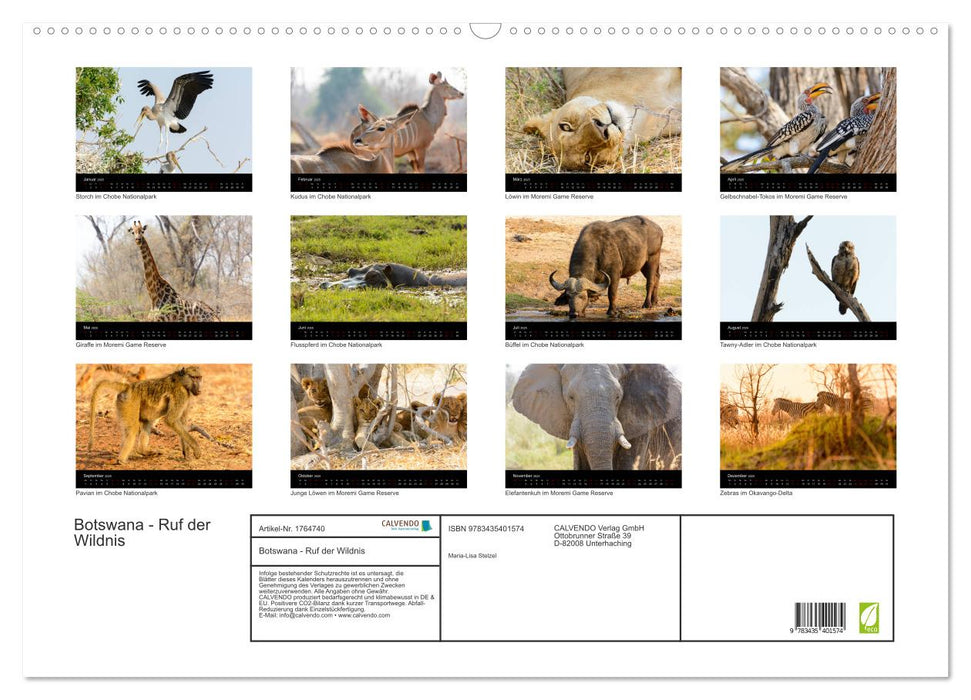 Botswana - Ruf der Wildnis (CALVENDO Wandkalender 2025)