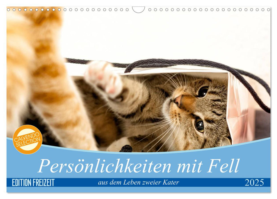 Persönlichkeiten mit Fell - aus dem Leben zweier getigerter Kater (CALVENDO Wandkalender 2025)