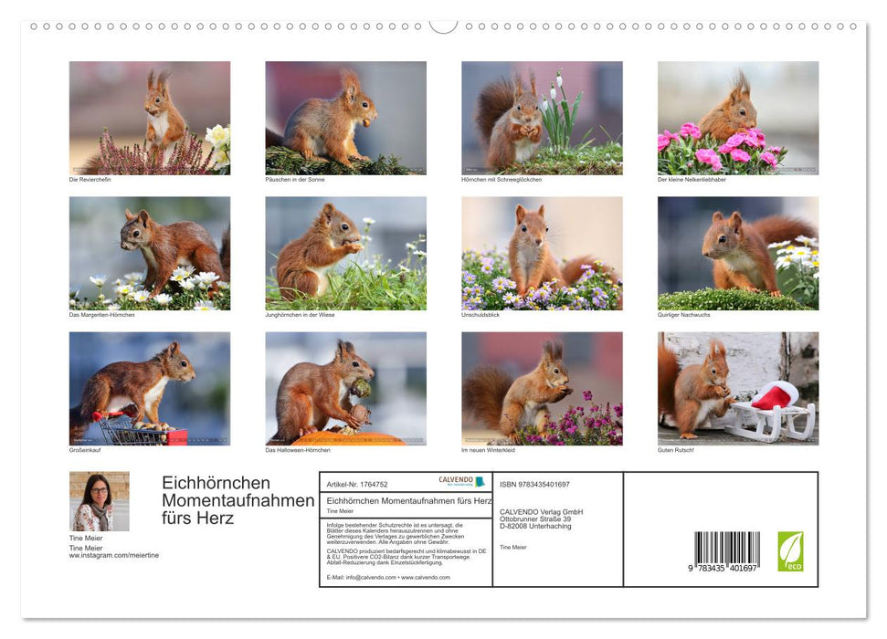 Eichhörnchen Momentaufnahmen fürs Herz (CALVENDO Premium Wandkalender 2025)