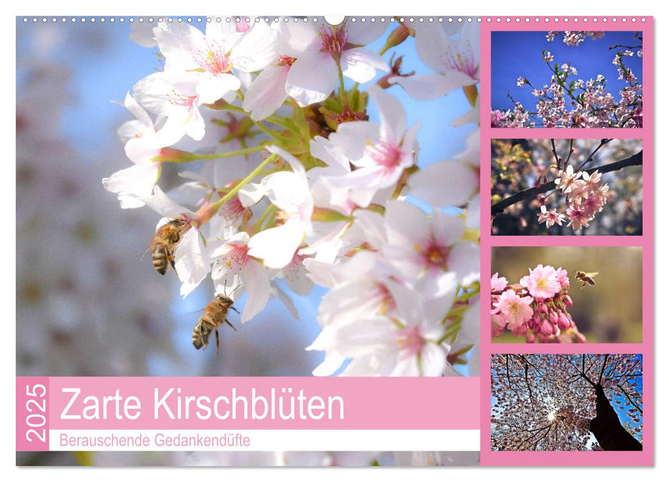 Zarte Kirschblüten - Berauschende Gedankendüfte (CALVENDO Wandkalender 2025)