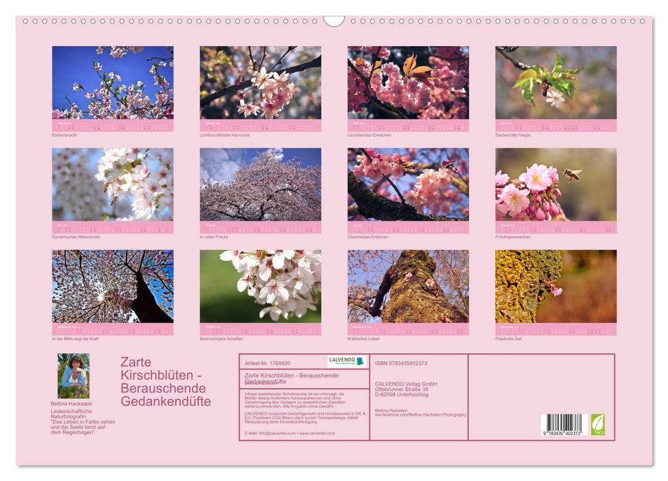 Zarte Kirschblüten - Berauschende Gedankendüfte (CALVENDO Wandkalender 2025)