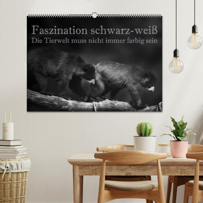 Faszination schwarz-weiß - Die Tierwelt muss nicht immer farbig sein (CALVENDO Wandkalender 2025)