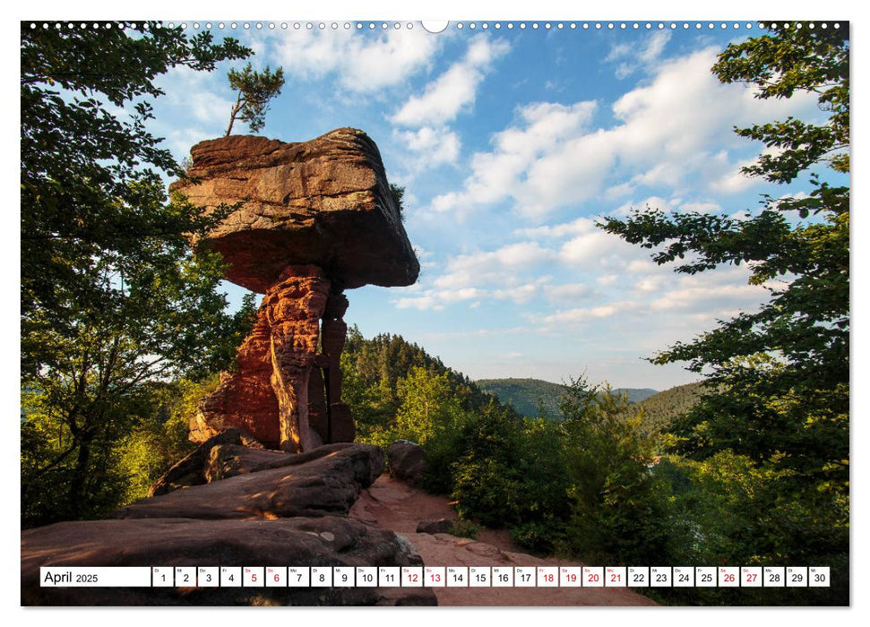 Felsen im Wasgau (CALVENDO Premium Wandkalender 2025)