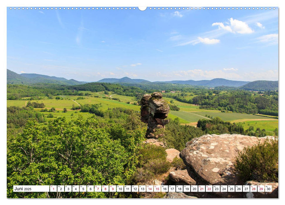 Felsen im Wasgau (CALVENDO Premium Wandkalender 2025)