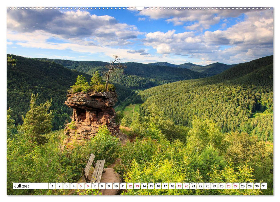 Felsen im Wasgau (CALVENDO Premium Wandkalender 2025)