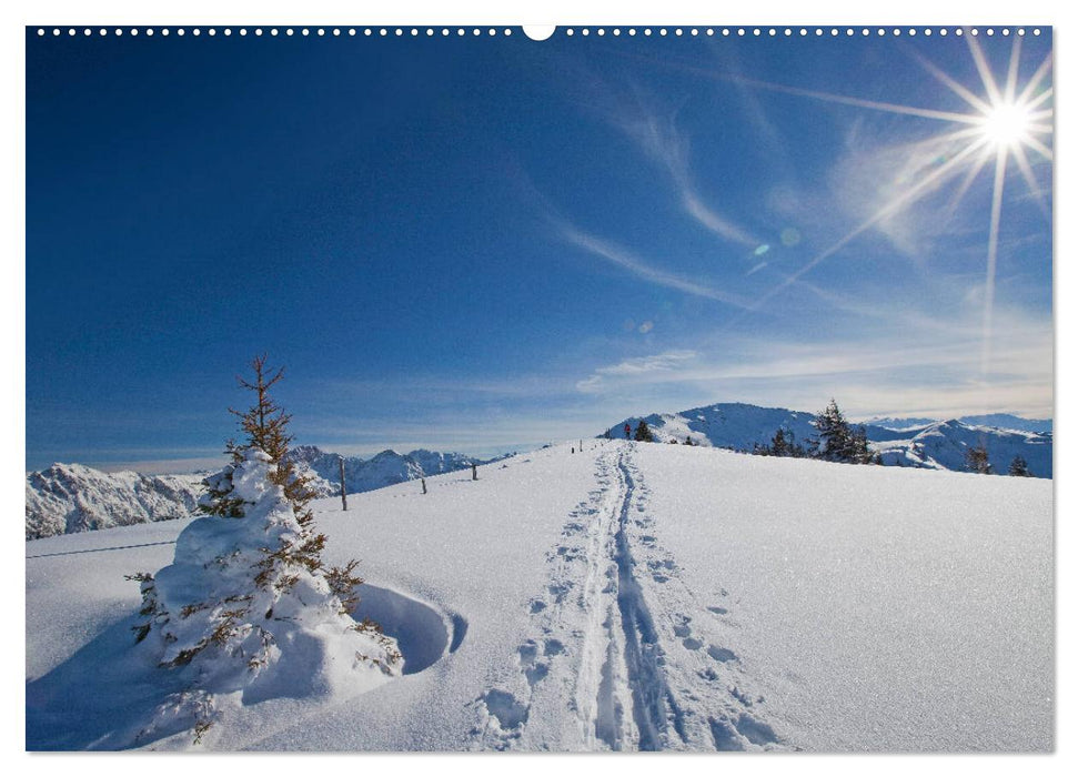 Schau eina in den Pongau (CALVENDO Premium Wandkalender 2025)