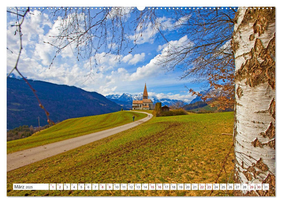 Schau eina in den Pongau (CALVENDO Premium Wandkalender 2025)