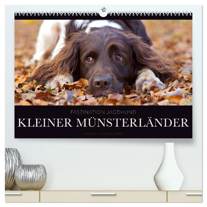 Faszination Jagdhund - Kleiner Münsterländer (CALVENDO Premium Wandkalender 2025)