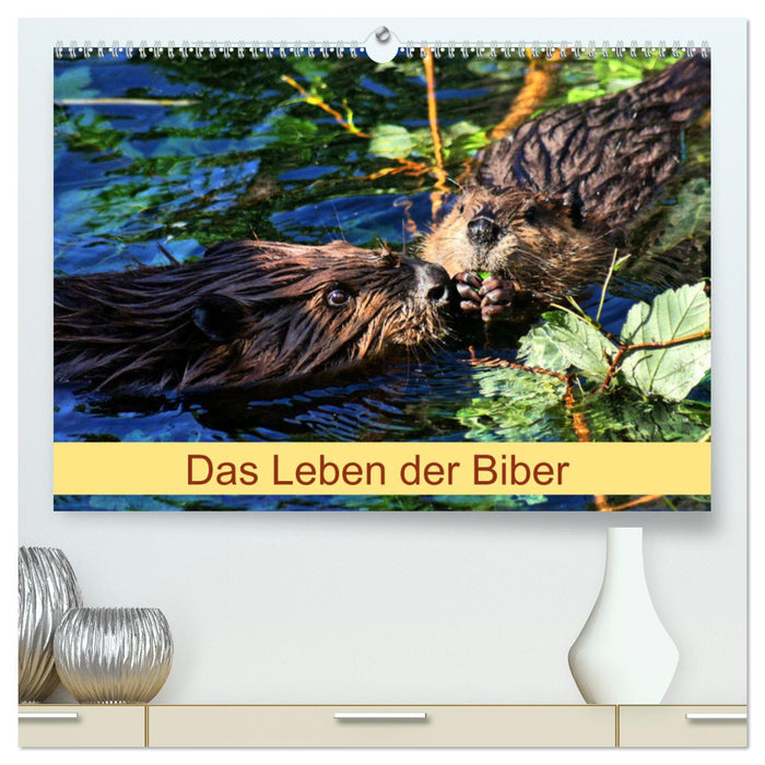 Das Leben der Biber (CALVENDO Premium Wandkalender 2025)