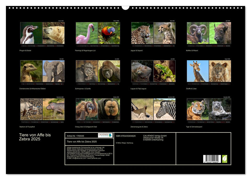 Tiere von Affe bis Zebra 2025 (CALVENDO Wandkalender 2025)