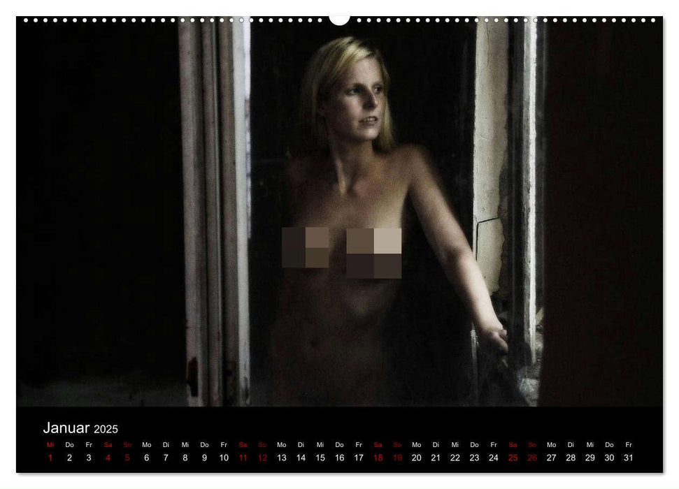 Nackt am Fenster (CALVENDO Premium Wandkalender 2025)