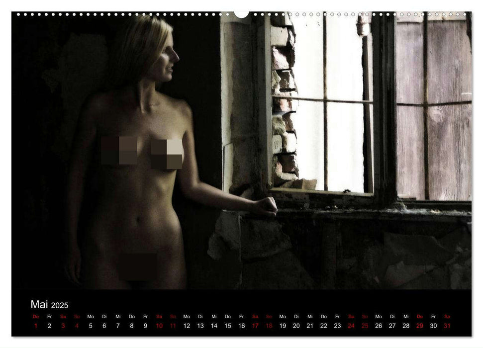 Nackt am Fenster (CALVENDO Premium Wandkalender 2025)