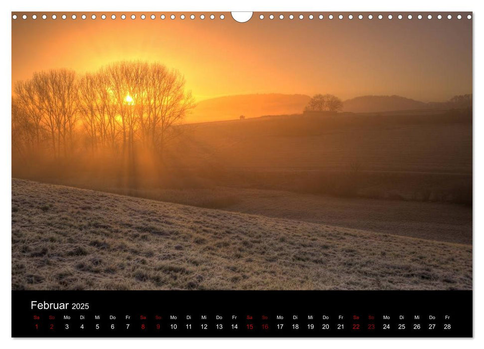 Wundersame Natur in Deutschland (CALVENDO Wandkalender 2025)