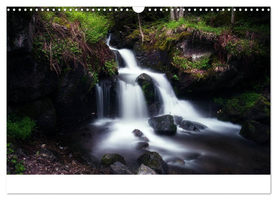 Wundersame Natur in Deutschland (CALVENDO Wandkalender 2025)