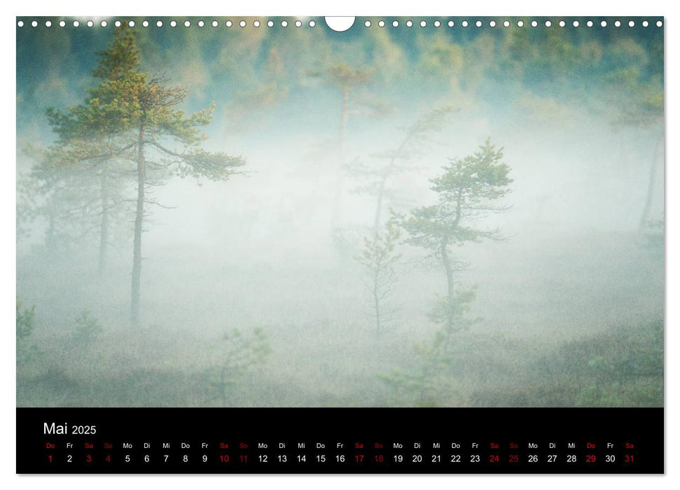 Wundersame Natur in Deutschland (CALVENDO Wandkalender 2025)