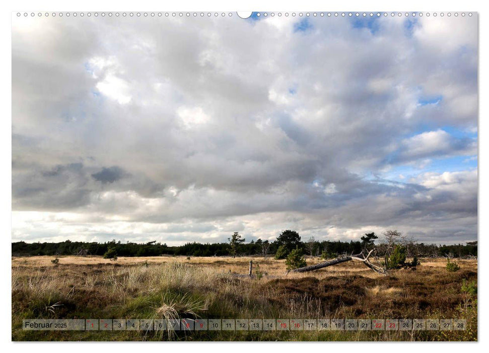 Nordseewolken (CALVENDO Premium Wandkalender 2025)