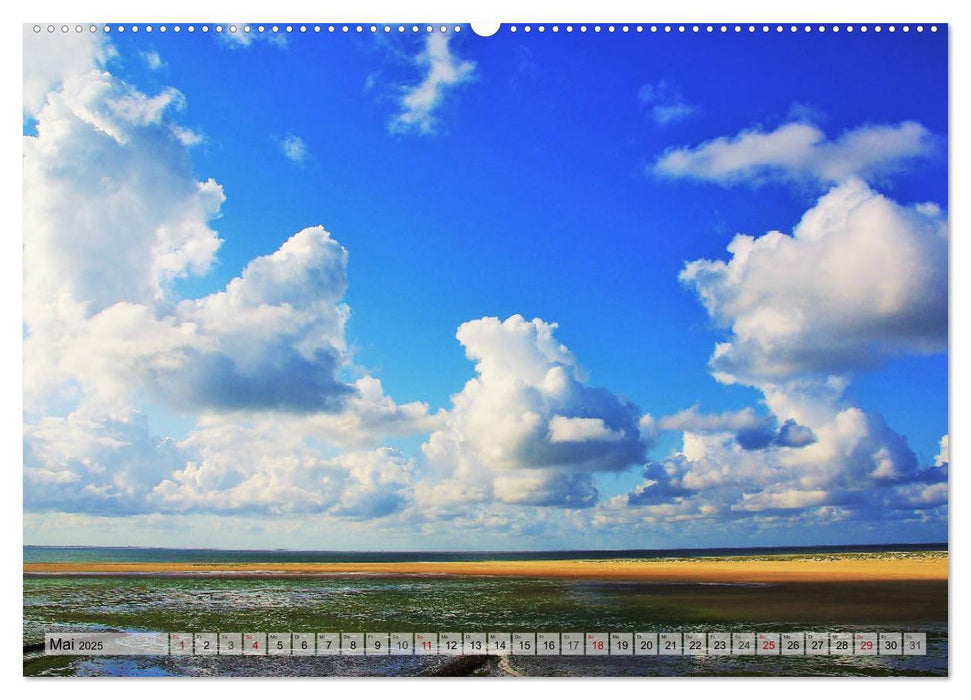 Typisch Amrum! (CALVENDO Premium Wandkalender 2025)