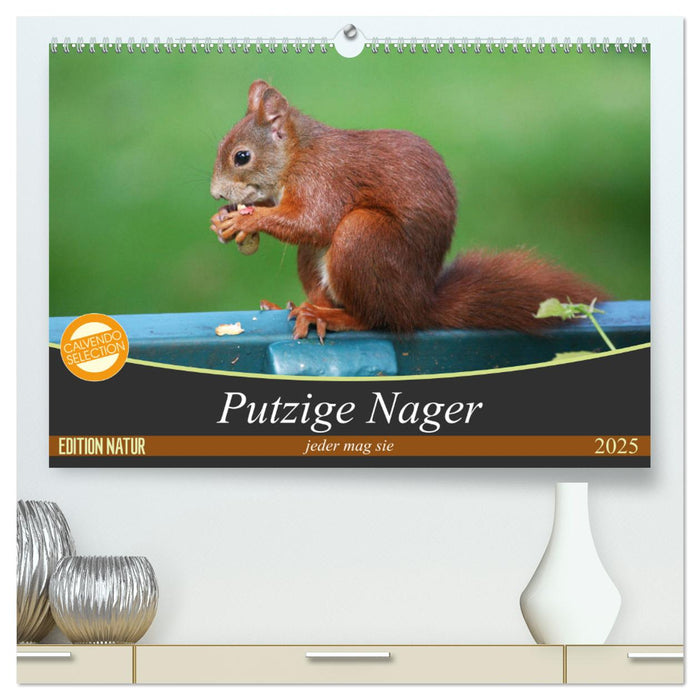 Putzige Nager (CALVENDO Premium Wandkalender 2025)