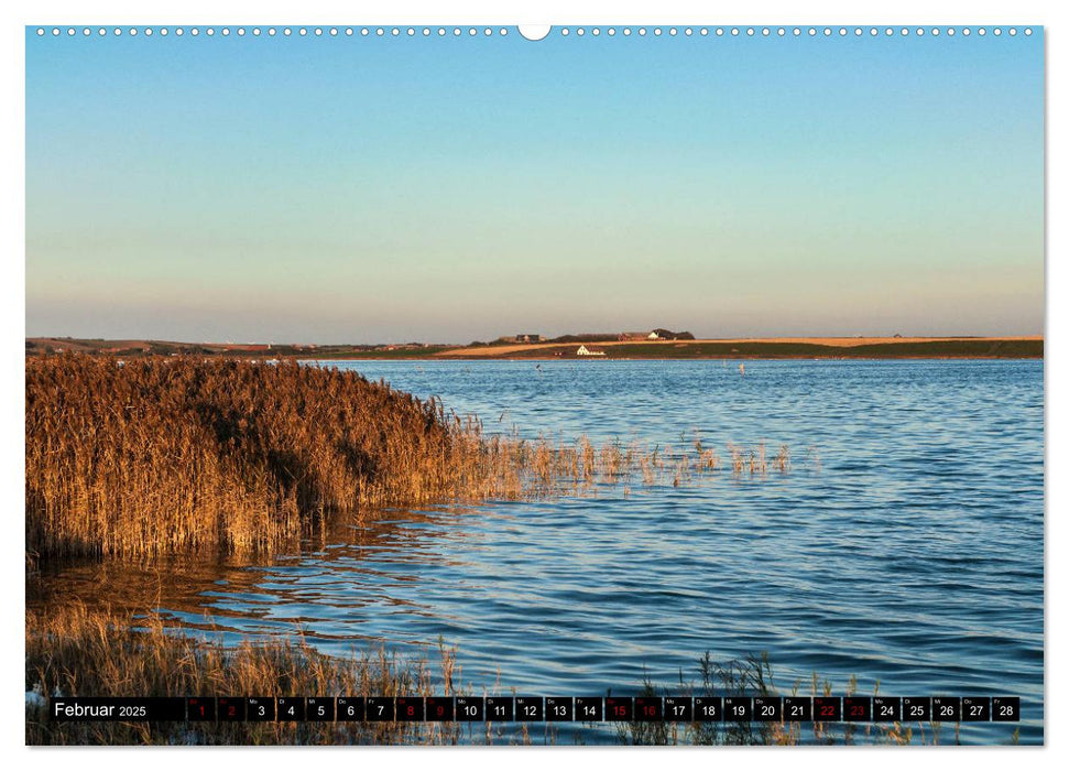 Dänemark zwischen Nordsee und Limfjord (CALVENDO Premium Wandkalender 2025)