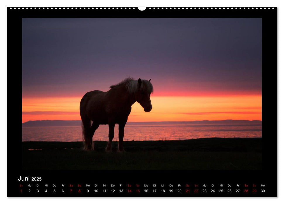 Island - Eine Reise in Bildern (CALVENDO Premium Wandkalender 2025)